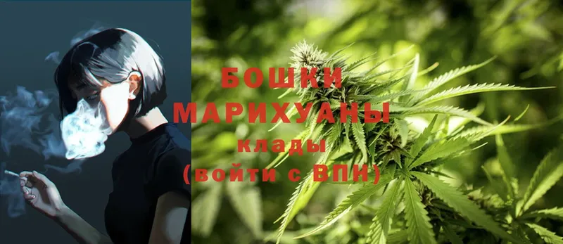 Шишки марихуана OG Kush  Новокузнецк 